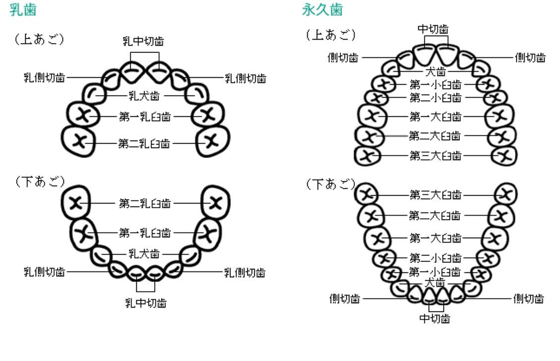 じんの歯科こども歯科からのお知らせ